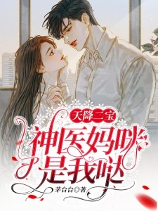盛相思与傅寒江小说阅读