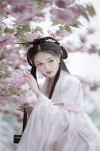 影视：生活就该如此曹飞范闲免费小说阅读_热门小说排行榜影视：生活就该如此(曹飞范闲)