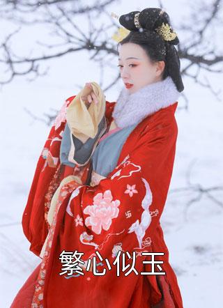 农婿无双