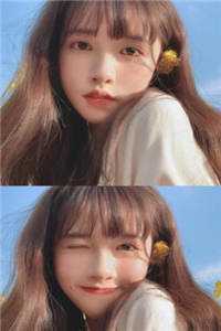 望妻成凤