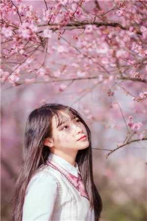 拒绝苗疆圣女求爱，我被她的男宠打残喂蛊了(蚩媚玉川)全本完结小说_完结的热门小说拒绝苗疆圣女求爱，我被她的男宠打残喂蛊了蚩媚玉川
