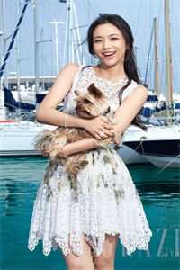 第一闪婚：傅少的心尖宠(黎歌傅司言)最后结局