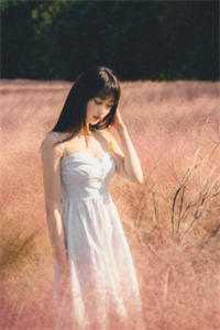 手撕王爷小白莲后，王妃和离了(司若南裴奕辰)章节
