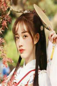 小说全集上门隐婿
