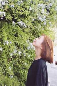 皇后嬷嬷穿越现代，我替娘娘虐渣打脸