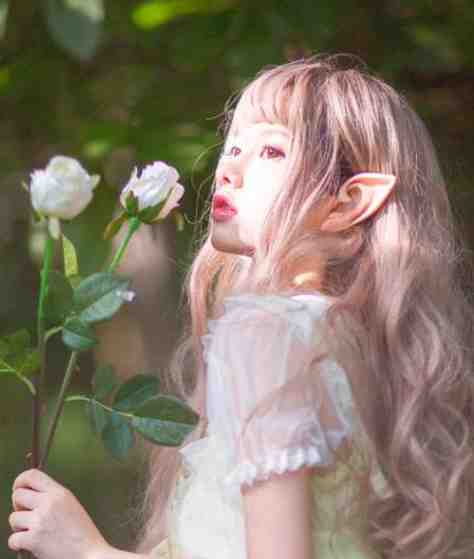 重生归来，打脸偷我名媛身份的私生女
