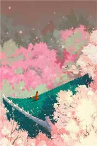 爱似飞花雨