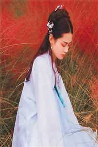 白发骑士与霸总的禁忌恋曲