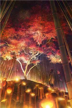 那年冬天，他和她在月光下重逢