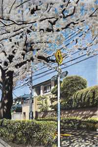 官场红尘