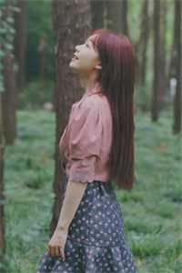 昔去雪如花