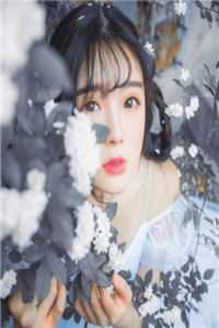 风流小仙医