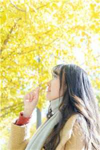 山长水阔知何处