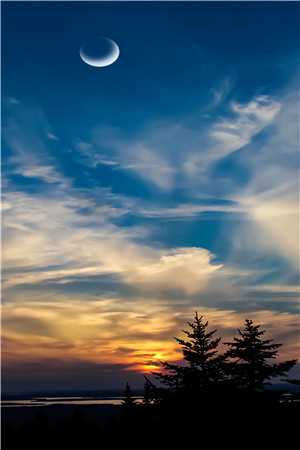 万人嫌假少爷被辱后，他成了顶级豪门苏景川江蕊完结热门小说_免费完结小说万人嫌假少爷被辱后，他成了顶级豪门(苏景川江蕊)