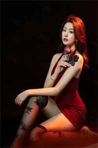 直到最后，女友才知我是特工之王