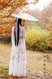 缪斯(沈南浔安雨芝)完本热门小说_热门网络小说缪斯(沈南浔安雨芝)