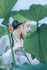 山盟仍在，锦书错寄