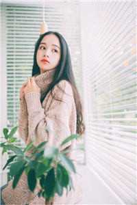抄家后，小通房不装了，流放路上当霸王(苏叶陆策)完整版小说全文免费阅读_最新免费小说抄家后，小通房不装了，流放路上当霸王苏叶陆策