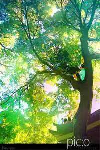 春夜余温(温羽宋青恕)阅读免费小说_热门免费小说春夜余温(温羽宋青恕)