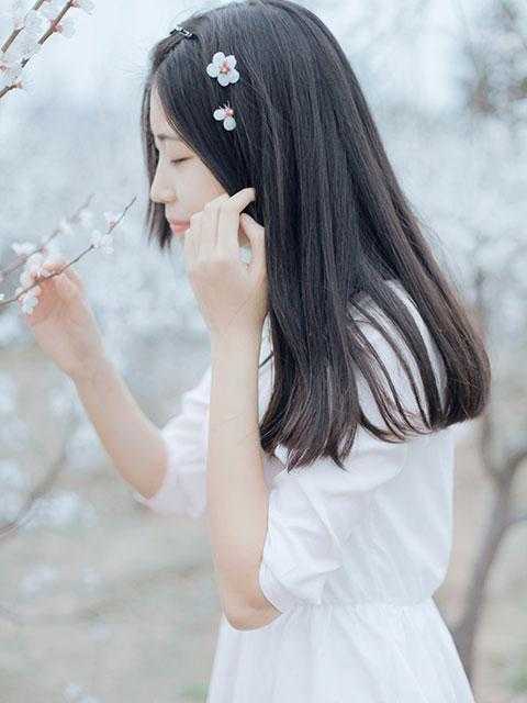 江晚柠黄海丽刚一穿越，所有人就喊我滚出娱乐圈全本在线阅读_《刚一穿越，所有人就喊我滚出娱乐圈》完整版阅读_《刚一穿越，所有人就喊我滚出娱乐圈》完整阅读