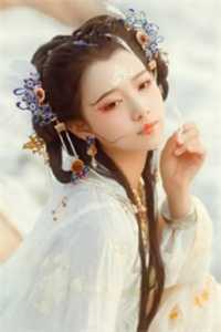 此意寄昭昭