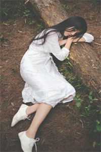权道之夫人们太给力了