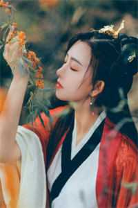 权倾美人香