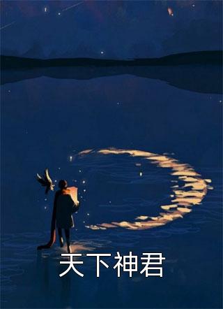 月落星隐再思君秦翰川安以晴小说推荐完结_热门网络小说月落星隐再思君秦翰川安以晴