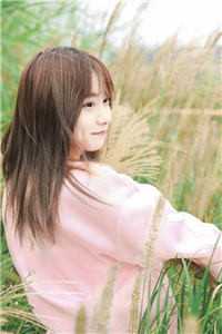 爱在雾里弥漫(江寒声方向)完本小说免费_最新完结小说推荐爱在雾里弥漫(江寒声方向)