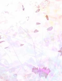 一见青山云端月(沈廷淮苏慕绾)完本小说推荐_在线阅读免费小说一见青山云端月沈廷淮苏慕绾