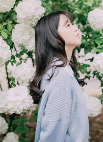 烟花散落时