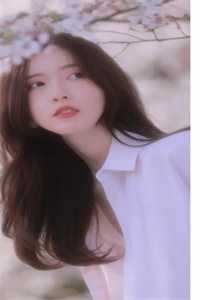 情似繁花渐落