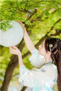 爱如蜉蝣