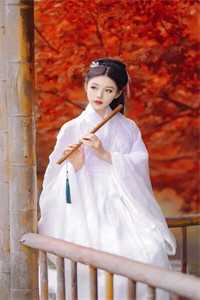 纸上梨花凉玉佩周晏温免费完结小说_热门网络小说纸上梨花凉(玉佩周晏温)