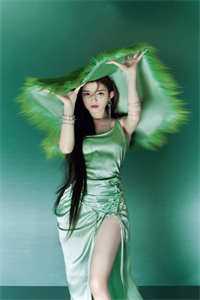 我的老婆不爱我