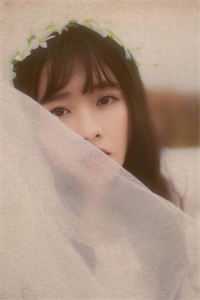 权道之夫人们太给力了