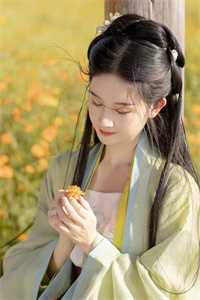 星河长明不遇你