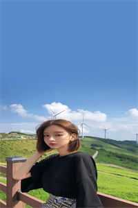 豪门无敌女婿