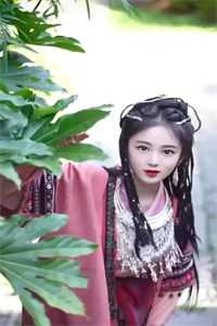美人宴