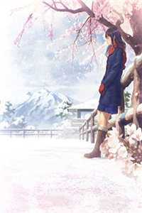 洞房花烛夜，丈夫将我丢进教坊司里学规矩