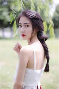 太极门赘婿