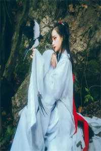 穿越进皇室，我干了人生四大美事