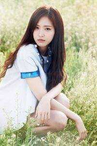 晚风吹过旧时光