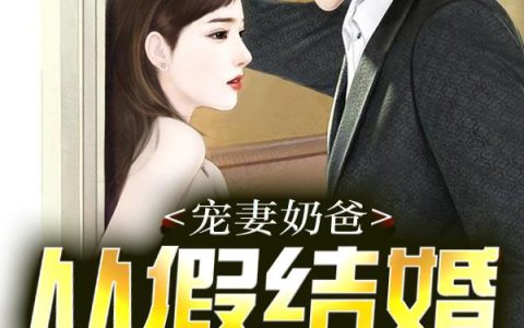 《宠妻奶爸：从假结婚开始》小说角色苏雨晴郎辰全本章节免费在线阅读