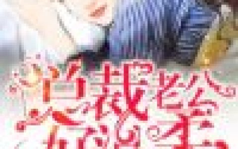 《总裁老公好温柔》小说全本在线试读，《何律师盛小姐》最新章节目录