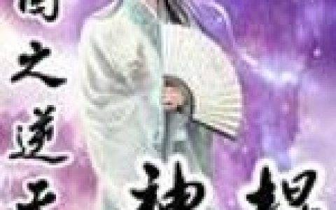 《三国之逆天神棍》丁浩然许攸全本章节免费在线阅读