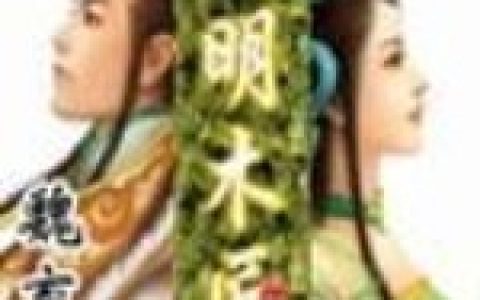 大明木匠齐刚黄尚，齐刚黄尚全本在线阅读