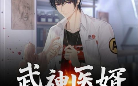 《武神医婿》叶杰苏落全本章节免费在线阅读