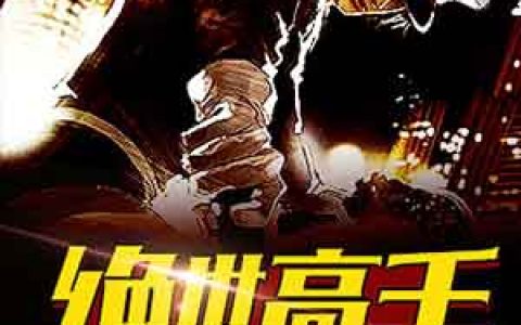 绝世高手陈扬林清雪，陈扬林清雪全本在线阅读