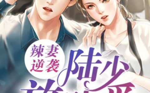 《辣妻逆袭：陆少，放肆爱》唐重锦宋青全本章节免费在线阅读